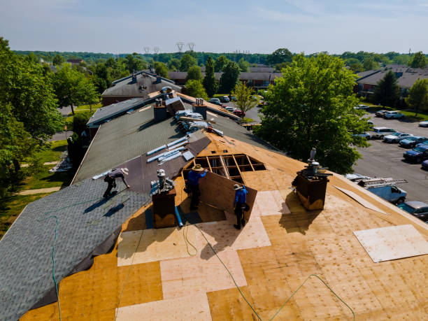 Trusted Roof Replacement service in Chase, PA - Brentwood Metal Roofing